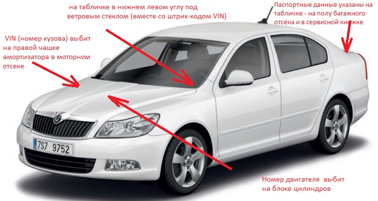 Где находится на шкоде номер двигателя и вин?
