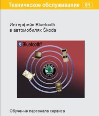 Интерфейс Bluetooth в автомобилях Skoda или о синезубе