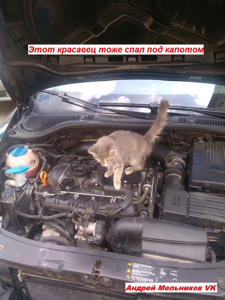 Хлеб под капотом Шкоды