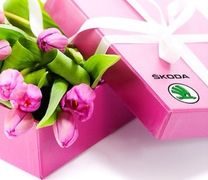 Девушки и Skoda - фотогалерея