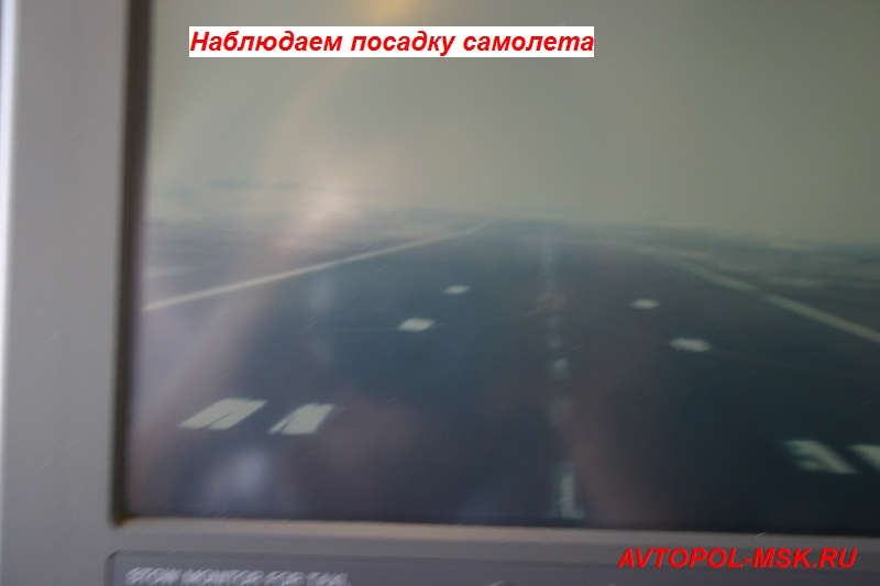 Эмирейтс – я люблю тебя